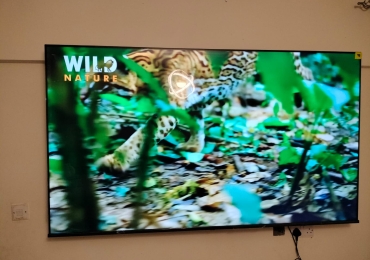 Pre-Owned Hisense 75-Inch 4K UHD Smart TV for Sale